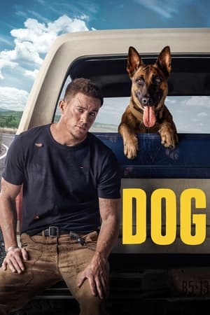 Köpek Dog