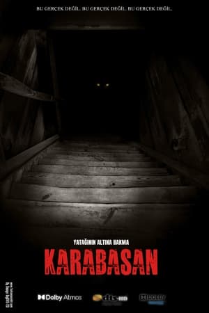 The Boogeyman (Karabasan)