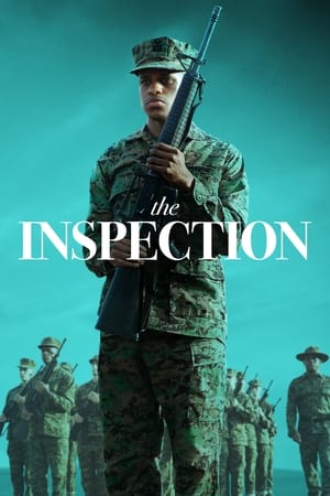 The Inspection (Teftiş)
