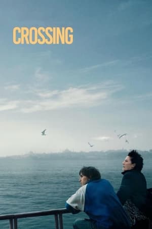 Geçiş (Crossing)