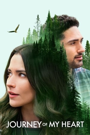 Kalbimin Yolculuğu (Journey of My Heart)