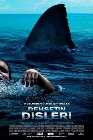 Dehşetin Dişleri The Reef