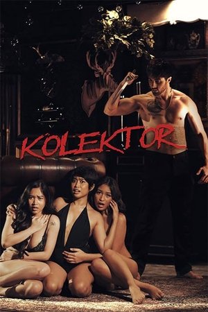 Kolektor Toplayıcı