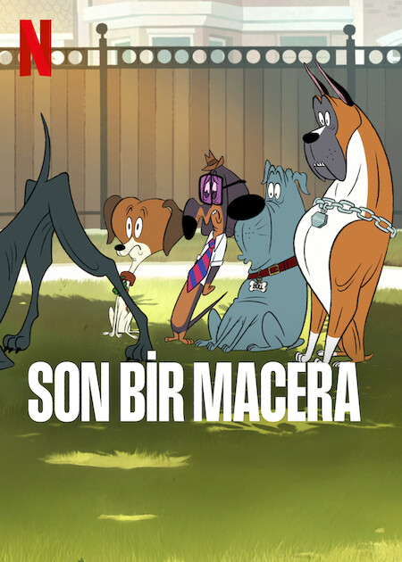 Son Bir Macera