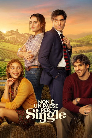 Non è un paese per single Bekârlara Yer Yok
