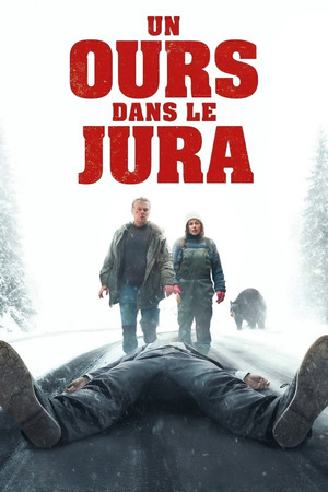 Un ours dans le Jura Dağdaki Ayı