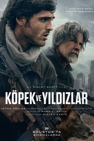 Köpek ve Yıldızlar
