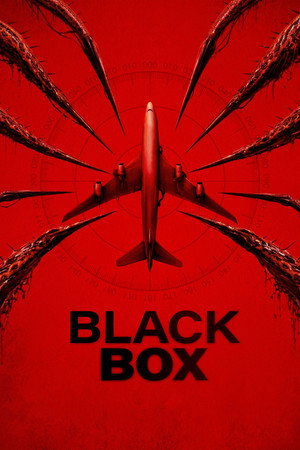 Black Box (Flight 298)