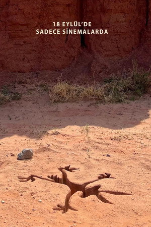 Coyote Acme’ye Karşı-Coyote vs. Acme 2026