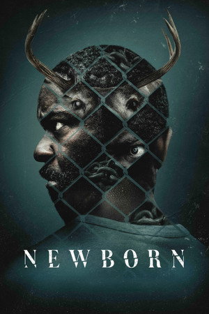 Newborn (Yeni Doğan) 2026