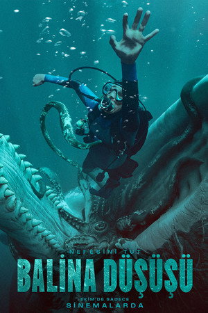 Balina Düşüşü 2026