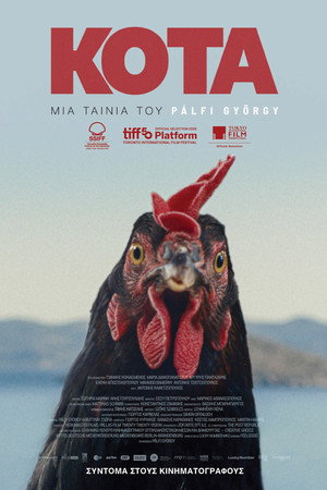 Tavuk Hen 2026